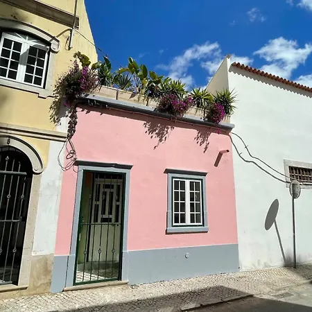 Arty House Casa Da Selva