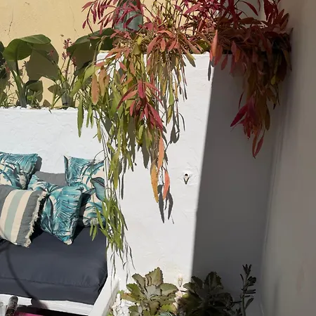 Arty House Casa Da Selva *