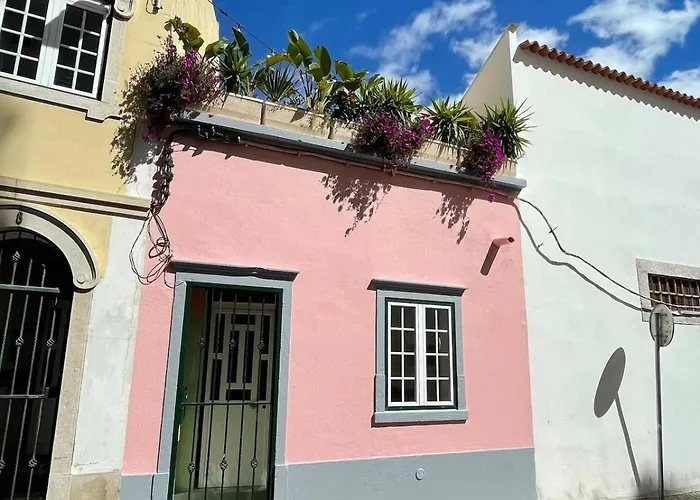 Arty House Casa Da Selva