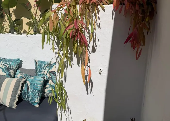 Arty House Casa Da Selva *